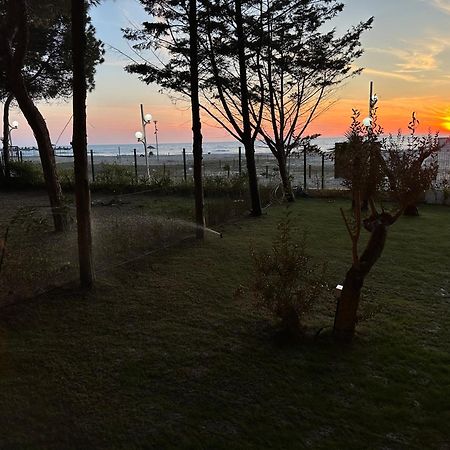 Marlis' Home Golem  Bagian luar foto