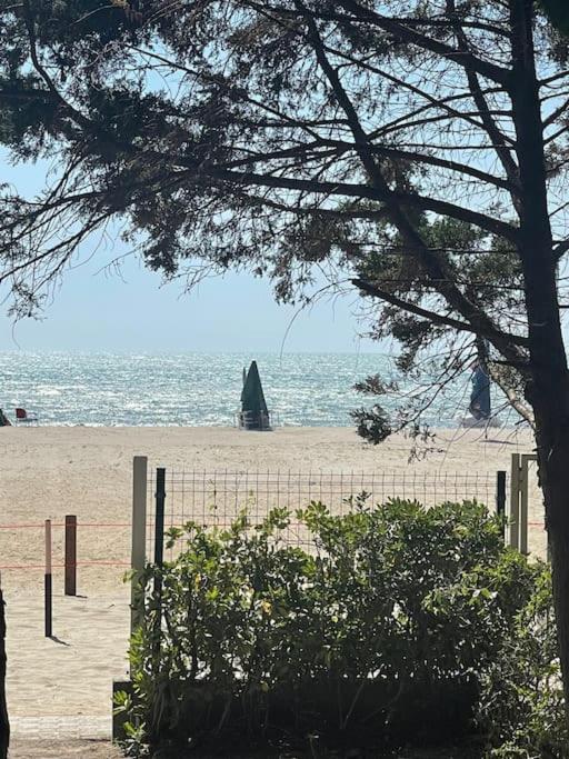 Marlis' Home Golem  Bagian luar foto